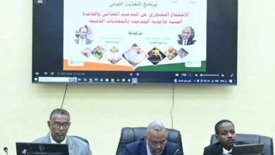 المغذيات الدقيقة