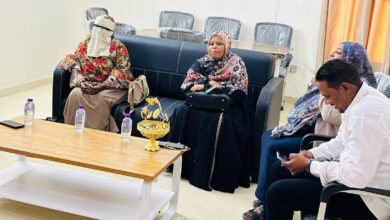 جامعة وادي النيل