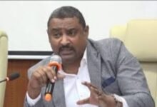 الاستثمارات السودانية السعودية ومستقبل الاستيراد