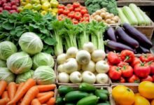 الأنظمة الغذائية النباتية