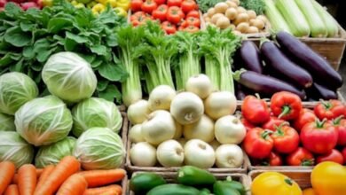 الأنظمة الغذائية النباتية