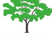 مدينة قيسان بولاية النيل الأزرق