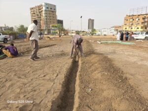 حديقة مثلث كبري الفتيحاب تشهد اكتمال شبكة الري والـتأهيل