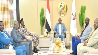 الهيئة العامة للأبحاث الجيولوجية