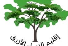 مدينة قيسان بولاية النيل الأزرق