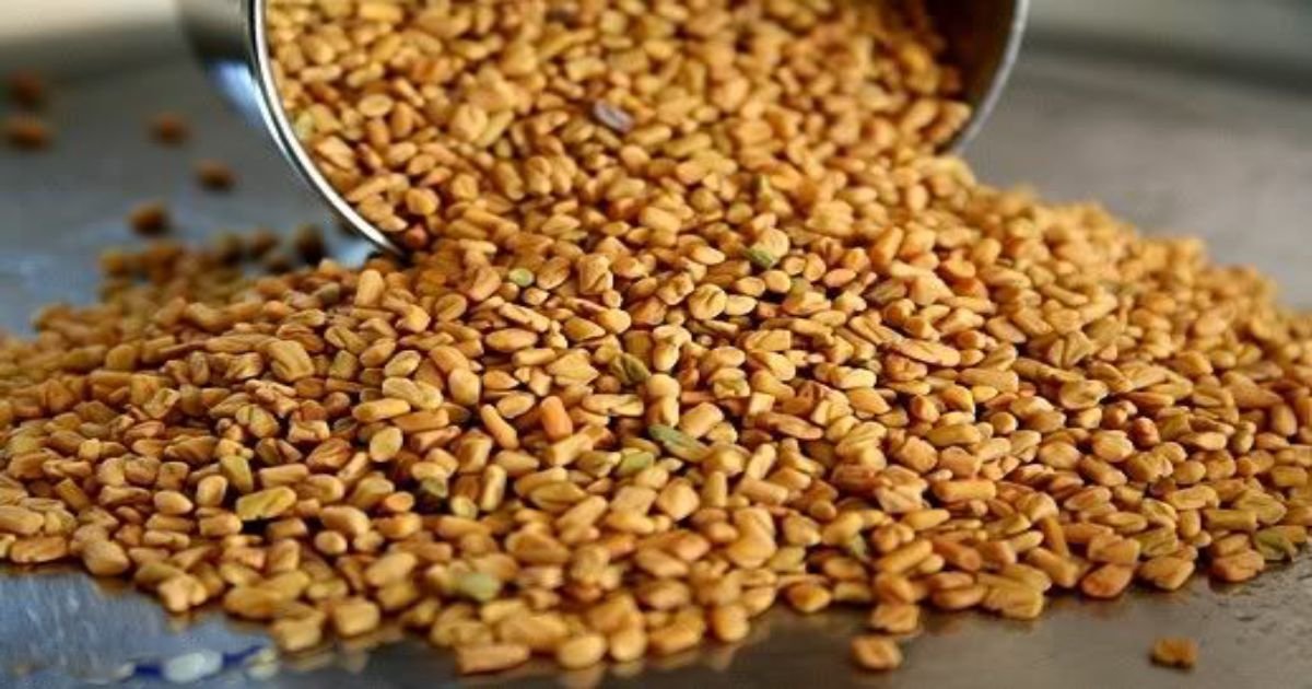 تأثير الحلبة على سكر الدم
