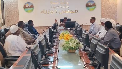جراحة القلب