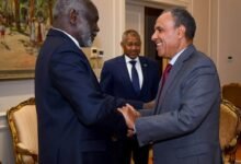 جبريل إبراهيم مع وزير الخارجية المصري