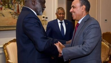 جبريل إبراهيم مع وزير الخارجية المصري