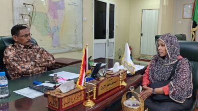 المشروعات الخدمية