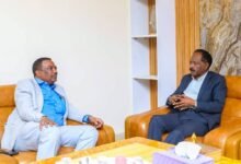 الإمداد الطبي بالنيل الأبيض