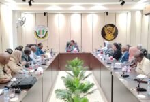 الثروة الحيوانية