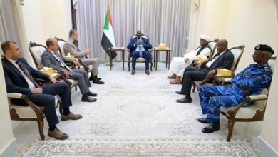 مواقف مصر الداعمة للسودان