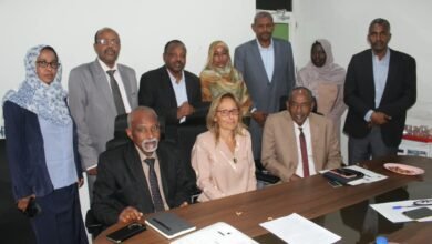 ديوان الحسابات القومي يبحث مع خبيرة UNDP
