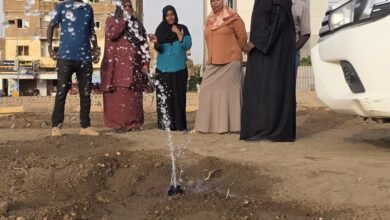 حديقة مثلث كبري الفتيحاب