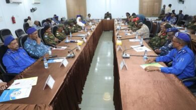 لجنة ضبط الأمن وفرض هيبة الدولة