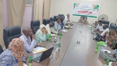 البطولة المدرسية الأفريقية