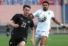 منتخب فلسطين