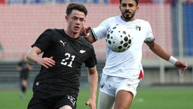 منتخب فلسطين