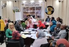 إنجاز المشاريع الحيوية