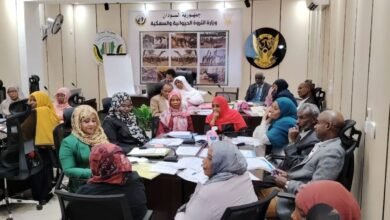 إنجاز المشاريع الحيوية