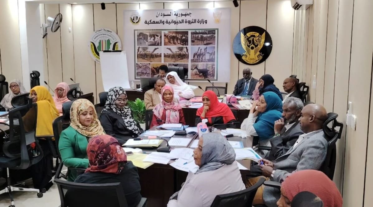 إنجاز المشاريع الحيوية