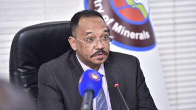 الموارد المعدنية