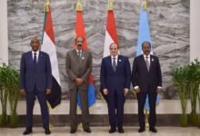 إعلان العلمين المشترك